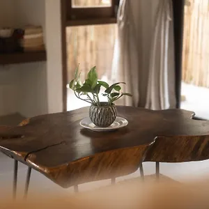 Big Tree Boutique Hotel Ko Tao